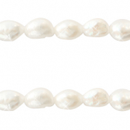BQ Süsswasserperlen Nugget oval 7x3mm Natural white