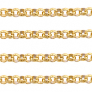 Stainless Steel - Rostfrei Stahl Schmuckzubehör Gliederkette 2mm Gold