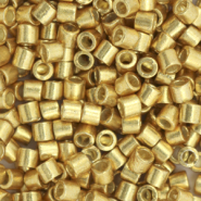 Miyuki Perlen delica's 8/0 Duracoat galvanized gold DBL-1832