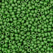 Miyuki Rocailles 11/0 Opaque green 11-411