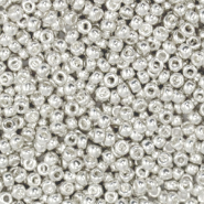 Miyuki Rocailles 11/0 Bright sterling silver plated 11-961