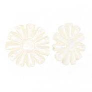 Muschel Perlen Sonne White (Naturliche Farbe Muschel)