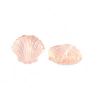 Acryl Perlen Muschel Transparent salmon pink
