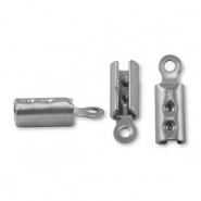 Rostfreier Stahl (Stainless Steel) Zubehör Klemme Silver