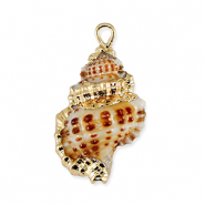 Muschel Anhänger Specials Brown-gold