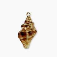 Muschel Anhänger Specials Brown-gold