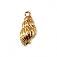 Muschel Anhänger Specials Gold