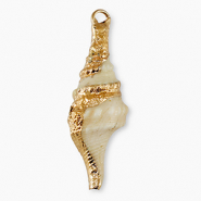 Muschel Anhänger Specials Wellhornschnecke Beige-gold