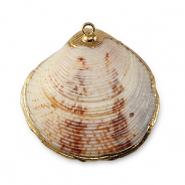 Muschel Anhänger Specials Jakobsmuschel Mixed brown-gold