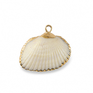 Muschel Anhänger Specials Jakobsmuschel White-gold