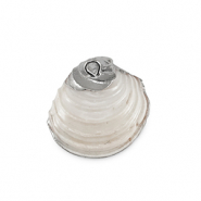 Muschel Anhänger Specials Creamy white-silver