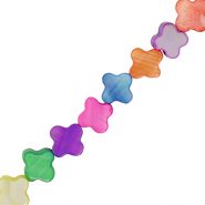 Muschel Perlenn Glücksklee Multicolour