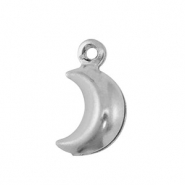 Stainless Steel - Rostfrei Stahl Anhänger Mond Silver