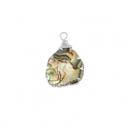 Resin Anhänger mit Imitation Muschel Irregular Silver-ocean green