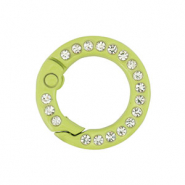 Farbiges Zubehör Schlüssel Anhänger Ring Green