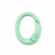 Farbiges Zubehör Schlüssel Anhänger Oval Mint green