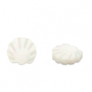 Muschel-Perlen Jakobsmuschel White (Naturliche Farbe Muschel)