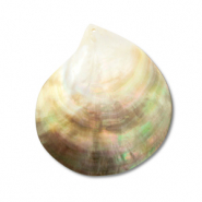 Muschel Anhänger Perlmutt-Muschel White (Naturliche Farbe Muschel)-light brown-dark brown