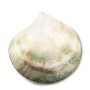 Muschel Anh&auml;nger Perlmutt-Muschel White (Naturliche Farbe Muschel)-light brown-dark brown