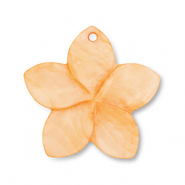 Muschel Anhänger Blume Orange