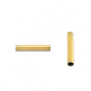 Stainless Steel - Rostfrei Stahl Perlen Tube 5mm Gold