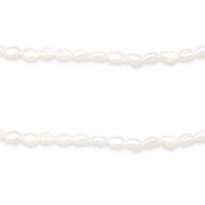 BQ Süsswasserperlen Rice 5x4mm Natural white