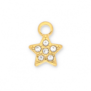 Stainless Steel - Rostfrei Stahl Anhänger Stern mit Strass Gold-transparent