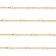 Stainless Steel - Rostfrei Stahl Schmuckzubehör Gliederkette Länglich Gold