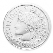Stainless Steel - Rostfrei Stahl Anhänger Münze Silver