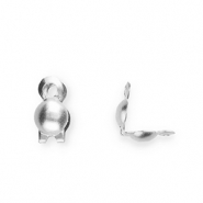 Stainless Steel - Rostfrei Stahl Schmuckzubehör Kalotten 2 mm Silver