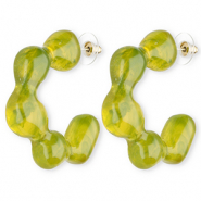 Trendy Resin Ohrringe / Ohrstecker Multicolour green
