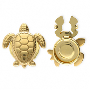Knopfabdeckung aus Stainless Steel - Rostfreiem Stahl Schildkröte Gold