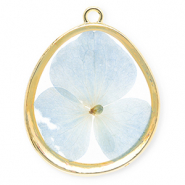 Anhänger mit getrockneter Blume Eierförmig Gold-light blue