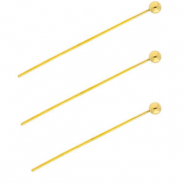 BY31® Stainless Steel - Rostfrei Stahl Schmuckzubehör Nietstifte mit Kugel 35 mm Gold