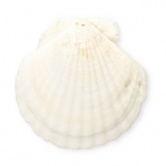 Muschel Anhänger Specials Jakobsmuschel White