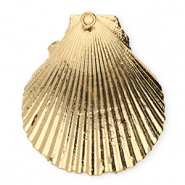Muschel Anhänger Specials Jakobsmuschel Gold