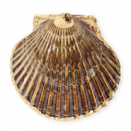 Muschel Anhänger Specials Jakobsmuschel Dark brown-gold