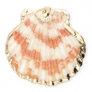 Muschel Anhänger Specials Jakobsmuschel Dark pink-gold