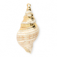 Muschel Anhänger Specials Wellhornschnecke Beige-gold