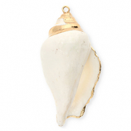 Muschel Anhänger Specials Wellhornschnecke White-gold