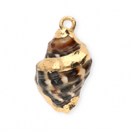 Muschel Anhänger Specials Wellhornschnecke Brown-gold