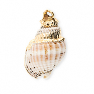 Muschel Anhänger Specials Wellhornschnecke Off white-gold