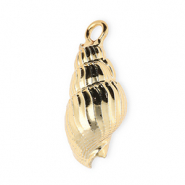 Muschel Anhänger Specials Wellhornschnecke Gold