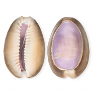 Muschel Anhänger Specials Kauri Purple-brown