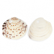 Muschel Anhänger Specials Herzmuschel Off white-brown