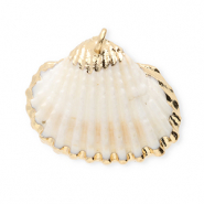 Muschel Anhänger Specials Jakobsmuschel White-gold