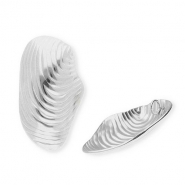 Stainless Steel - Rostfrei Stahl Anhänger Muschel Silver