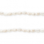 TQ Süsswasserperlen Rice 5x4 mm Natural white