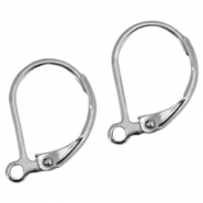 Ohrringe aus Stainless Steel - Rostfrei Stahl Ohrhänger verschliessbar Silber
