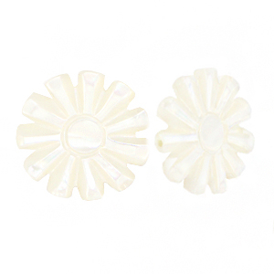 Muschel Perlen Sonne White (Naturliche Farbe Muschel)
